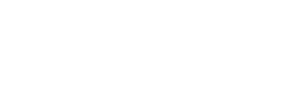 NETAPK.COM.PK