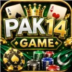 Pak14 game logo