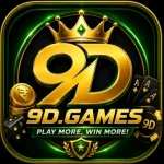 9d game logo