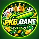 pk6 game logo