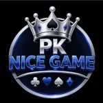 pknice game